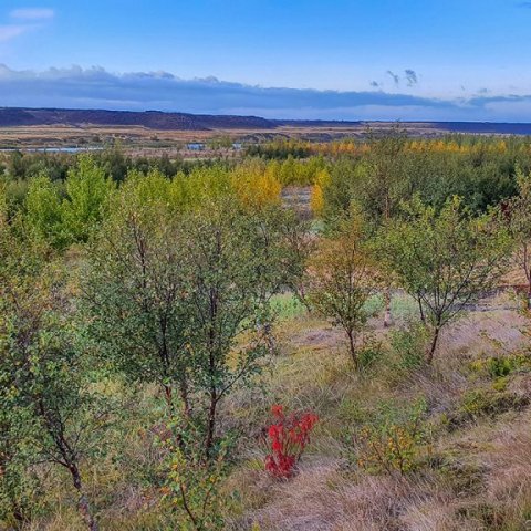 Það eina sem ekki hefur breyst á þessari mynd er Búrfellið