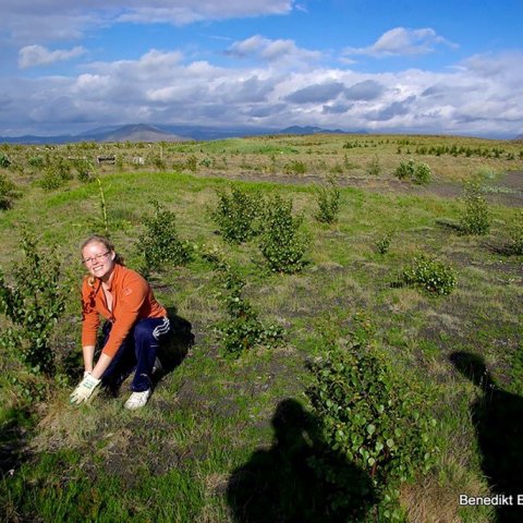 Auður á sama stað 2011. Ljósmynd: Benedikt Benediktsson