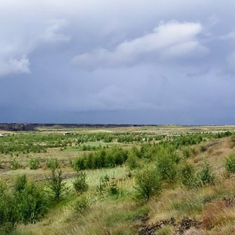 Yfirlitsmynd frá árinu 2014