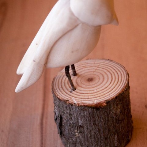 Skógarfugl úr ösp. Ljósmynd: Ólafur Oddsson