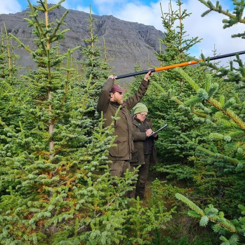 Aaron með mælistöngina fyrir hringinn og Hraundís skráir mæliniðurstöður. Ljósmynd: Valdimar Reynisson