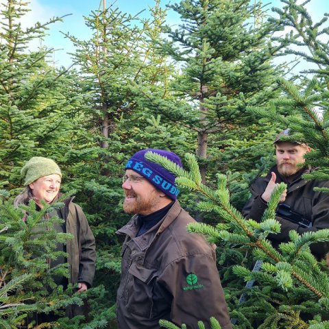 Allir kátir í skóginum. Ljósmynd: Valdimar Reynisson