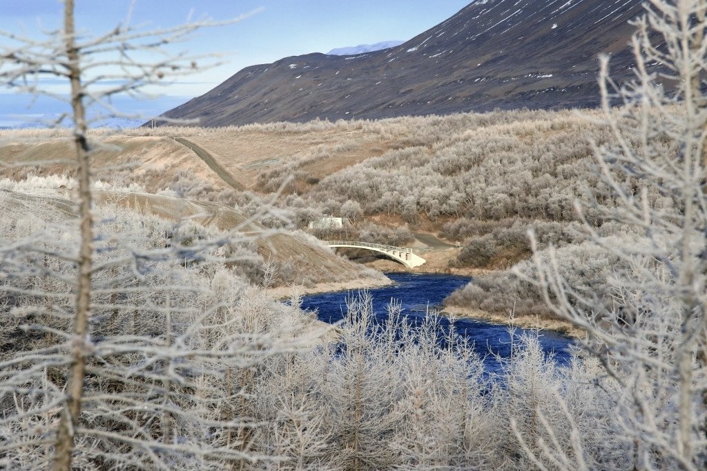 Úr Fnjóskadal á hrímguðum degi í nóvember 2015. Mynd: Pétur Halldórsson. Ljósmynd: Pétur Halldórsson