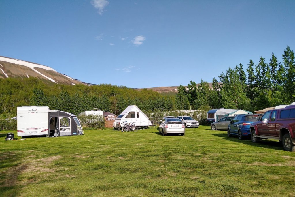 Flatagerði syðst í Vaglaskógi. Ljósmynd: Pétur Halldórsson