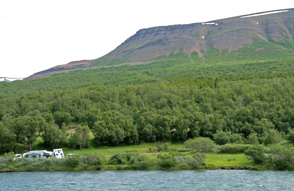 Tjaldsvæði í Vaglaskógi