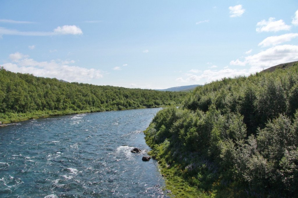 Horft upp eftir Fnjóská af gömlu bogabrúnni. Birkið hefur nú numið land á vesturbakkanum. Ljósmynd: Pétur Halldórsson