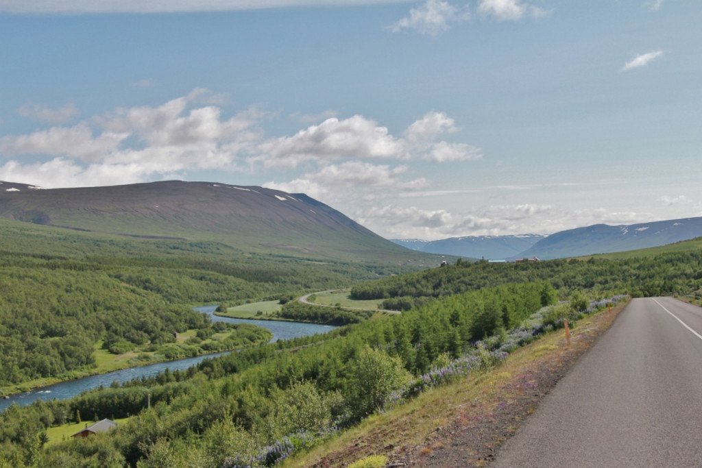 Séð fram Fnjóskadal (til suðurs). Vestan árinnar hafa bændur gróðursett nokkuð af lerki en mestu munar um birkið sem breiðist hratt út. Ljósmynd: Pétur Halldórsson