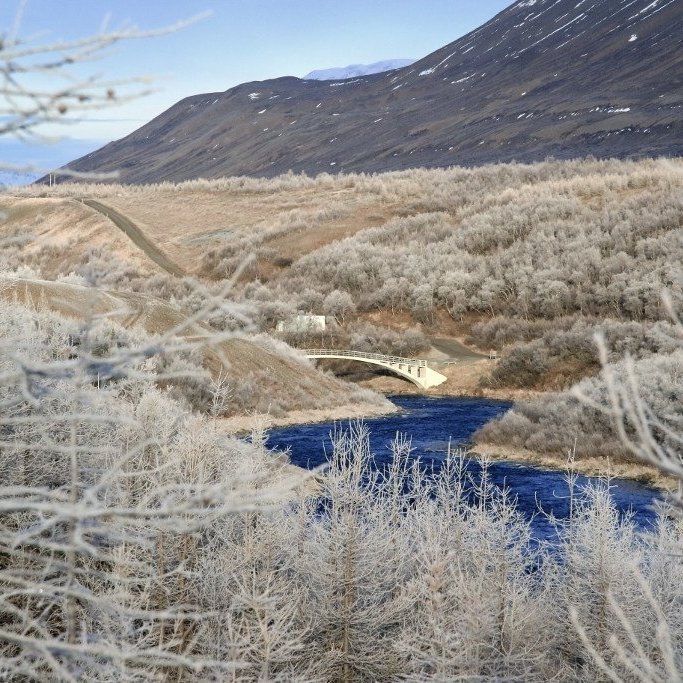 Úr Fnjóskadal á hrímguðum degi í nóvember 2015. Mynd: Pétur Halldórsson. Ljósmynd: Pétur Halldórsson