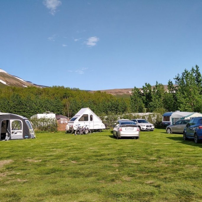 Flatagerði syðst í Vaglaskógi. Ljósmynd: Pétur Halldórsson