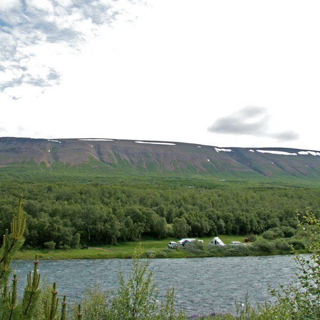 (mynd: Esther Ösp Gunnarsdóttir)