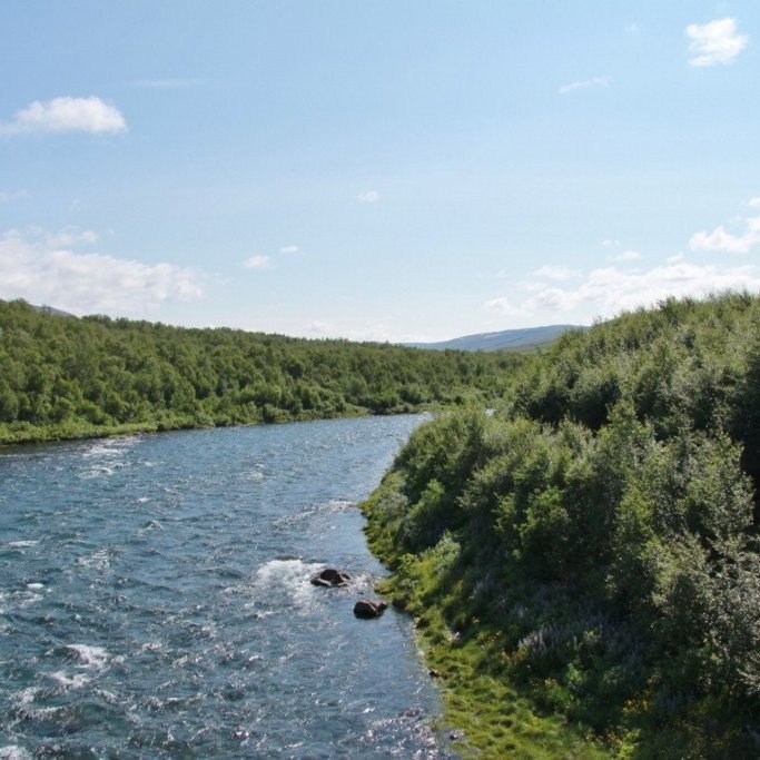 Horft upp eftir Fnjóská af gömlu bogabrúnni. Birkið hefur nú numið land á vesturbakkanum. Ljósmynd: Pétur Halldórsson