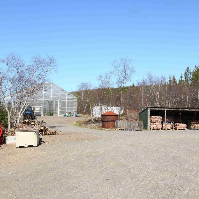Fræhöllin á Vöglum er stórt gróðurhús þar sem víxlað er saman úrvalstrjám af evrópulerki og rússalerki. Afkomendur þeirra eru öflugt yrki af lerki sem hentar mjög vel í skógrækt hérlendis og kallast 'Hrymur'. Ljósmynd: Pétur Halldórsson