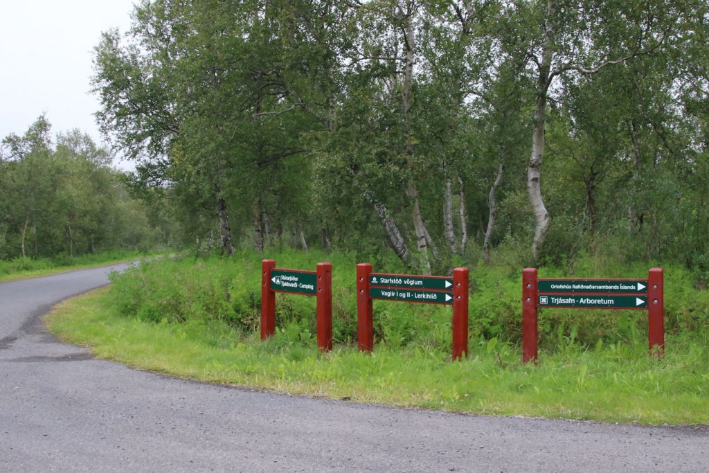 Við heimreiðina að starfstöð Skógræktarinnar á Vöglum og leiðina upp að Vöglum 1 þar sem gönguleiðin á Hálshnjúk hefst. Ljósmynd: Pétur Halldórsson