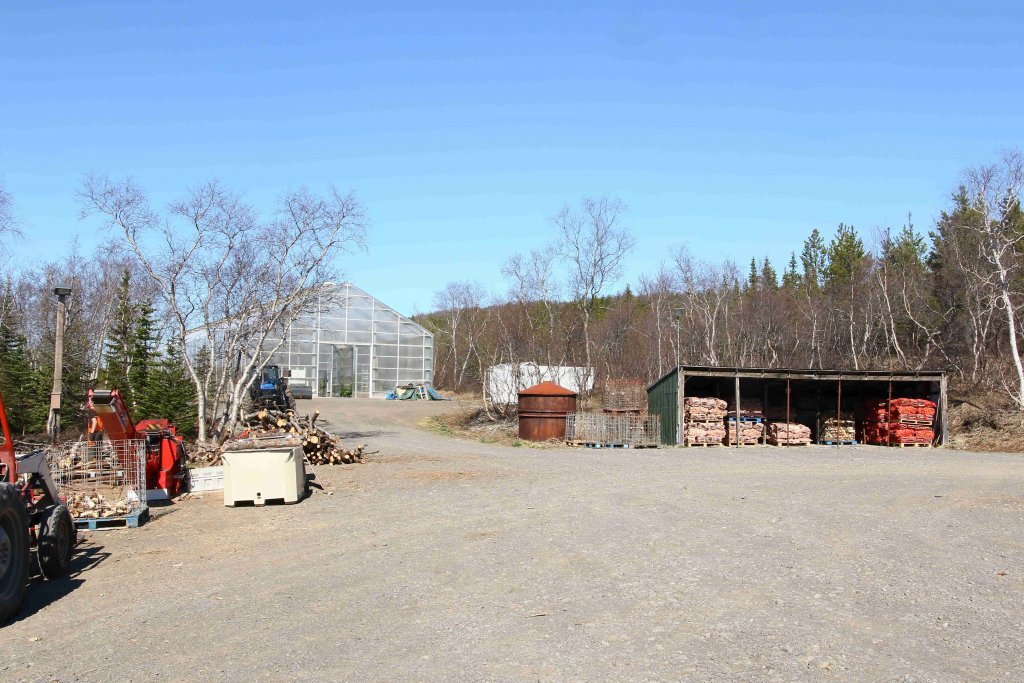 Fræhöllin á Vöglum er stórt gróðurhús þar sem víxlað er saman úrvalstrjám af evrópulerki og rússalerki. Afkomendur þeirra eru öflugt yrki af lerki sem hentar mjög vel í skógrækt hérlendis og kallast 'Hrymur'. Ljósmynd: Pétur Halldórsson 