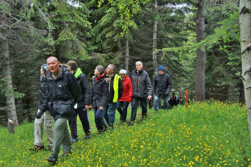 Skógarganga með leiðsögn í Vaglaskógi. Ljósmynd: Pétur Halldórsson