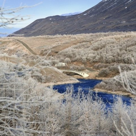 Úr Fnjóskadal á hrímguðum degi í nóvember 2015. Mynd: Pétur Halldórsson. Ljósmynd: Pétur Halldórsson