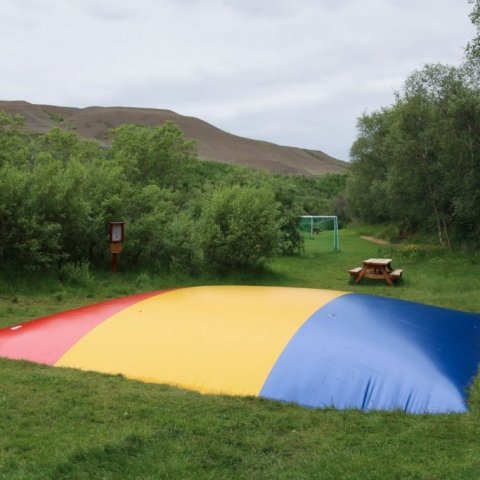 Ærslabelgurinn í Vaglaskógi. Ljósmynd: Pétur Halldórsson