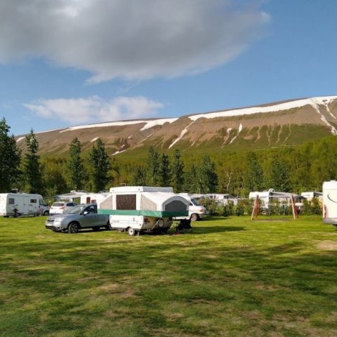 Mjög góð aðstaða fyrir ferðahýsi er í Flatagerði syðst í Vaglaskógi. Ljósmynd: Pétur Halldórsson