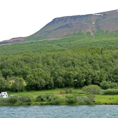 Tjaldsvæði í Vaglaskógi