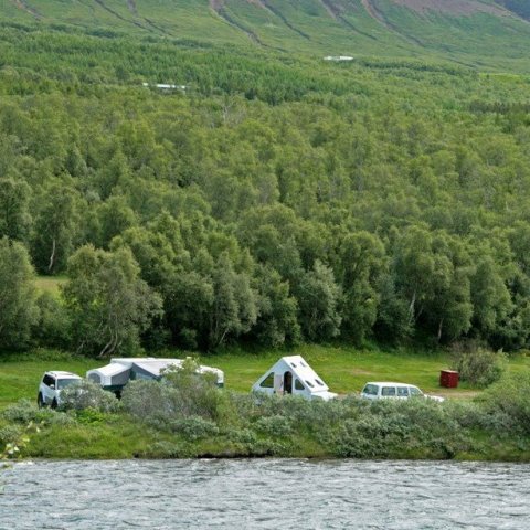Tjaldsvæði í Vaglaskógi