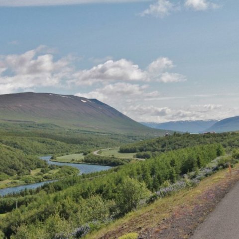 Séð fram Fnjóskadal (til suðurs). Vestan árinnar hafa bændur gróðursett nokkuð af lerki en mestu munar um birkið sem breiðist hratt út. Ljósmynd: Pétur Halldórsson