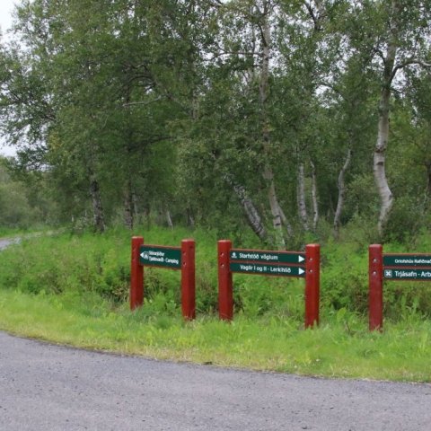 Við heimreiðina að starfstöð Skógræktarinnar á Vöglum og leiðina upp að Vöglum 1 þar sem gönguleiðin á Hálshnjúk hefst. Ljósmynd: Pétur Halldórsson