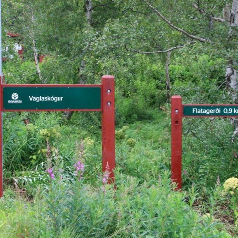 vaglaskogur.jpg