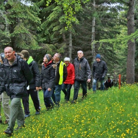Skógarganga með leiðsögn í Vaglaskógi. Ljósmynd: Pétur Halldórsson