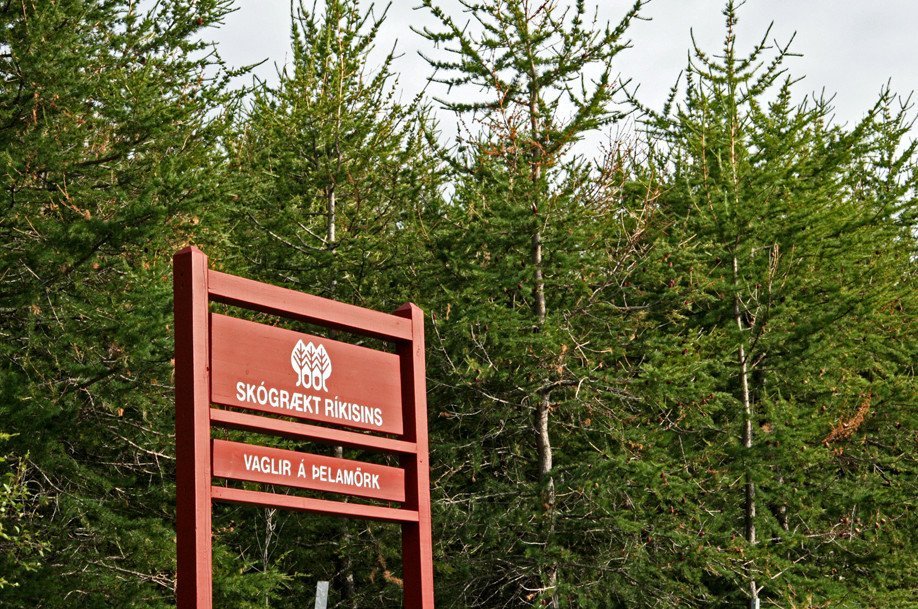 Vaglir á Þelamörk