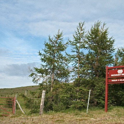 (mynd: Esther Ösp Gunnarsdóttir)