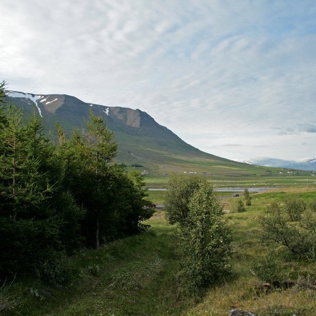 (mynd: Esther Ösp Gunnarsdóttir)