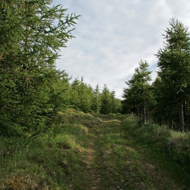 (mynd: Esther Ösp Gunnarsdóttir)