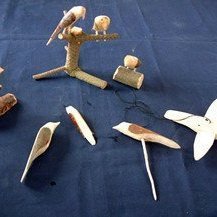 fuglar-ur-beinum-greinum