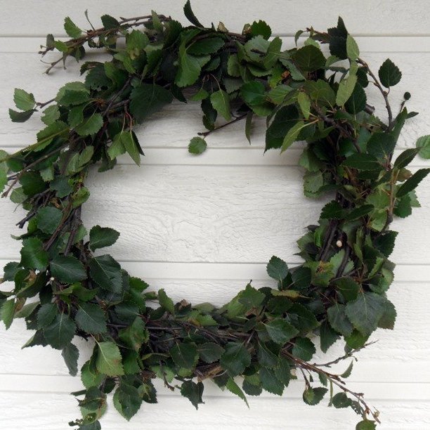 krans-med-birkiplotum