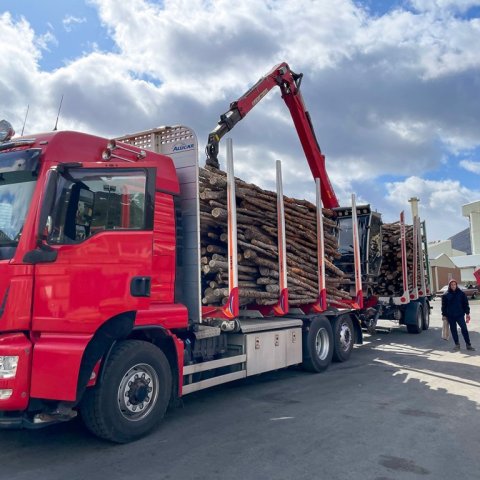Timburbíll Tandrabrettis með farm af grisjunarviði úr þjóðskóginum á Höfða á Völlum, Fljótsdalshéraði. Ljósmynd: Tandrabretti/Magnús Þorsteinsson