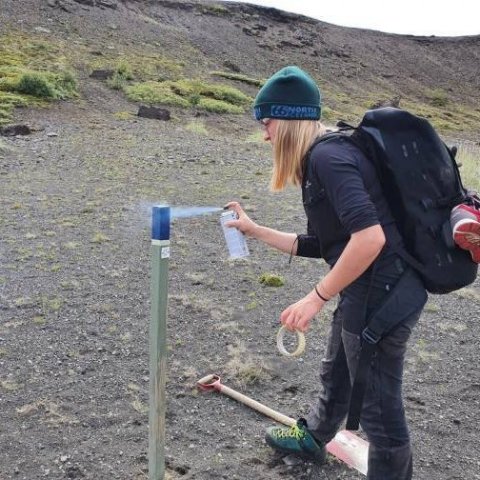 Stika máluð í réttum lit. Ljósmynd: Anna Mariager