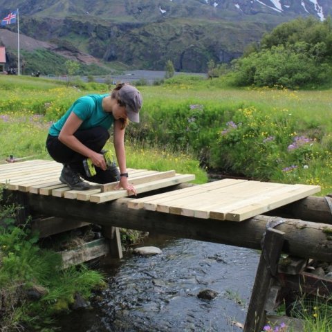 Brúarsmíði í Langadal. Ljósmynd: Charles J. Goemans