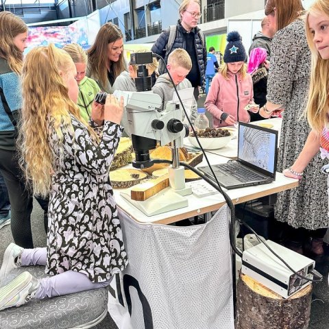 Árhringir skoðaðir í víðsjá. Ljósmynd: Edda S. Oddsdóttir 