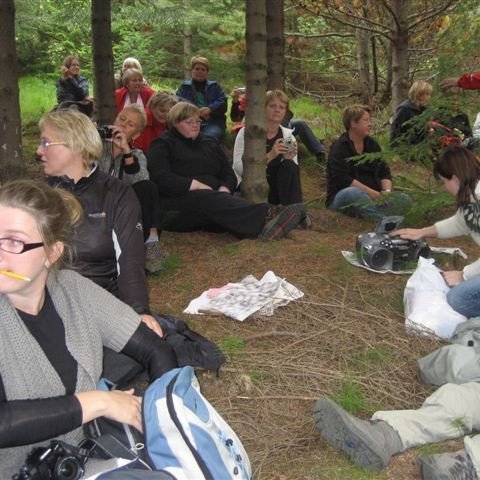 (mynd: Ólafur Oddsson)