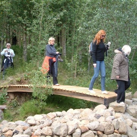 (mynd: Ólafur Oddsson)