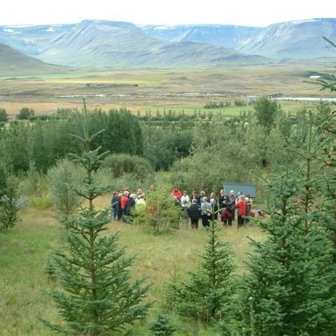 (mynd: Ólafur Oddsson)