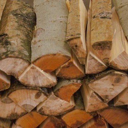 Ljósmynd: Ólafur Oddsson