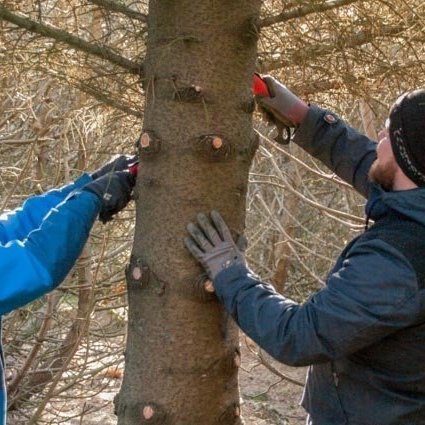 Ljósmynd: Ólafur Oddsson