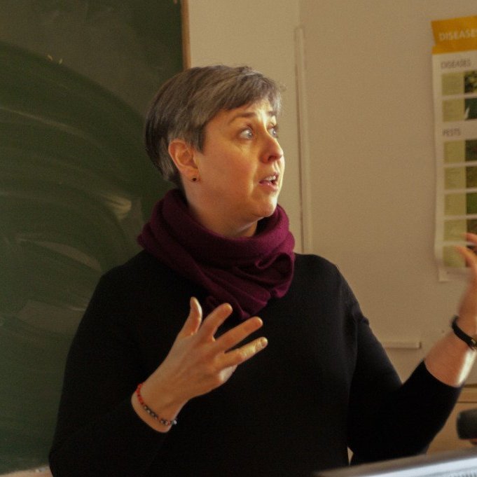 Eygló Rúnarsdóttir, aðjúnkt við menntavísindasvið Háskóla Íslands.. Ljósmynd: Ólafur Oddsson