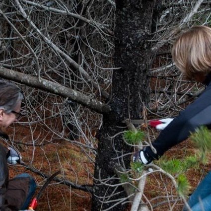 Á námskeiðinu var viðurinn unninn frá upphafi til enda, sóttur í skóginn, unninn og smíðað úr honum. Ljósmynd: Ólafur Oddsson