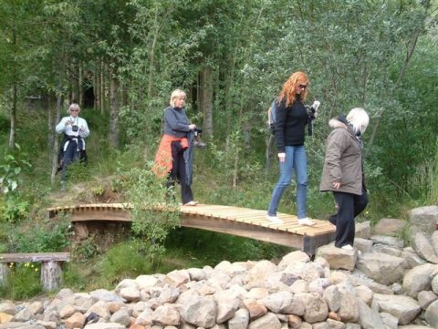 Kennaranámskeið um flæðinám í ágúst 2009