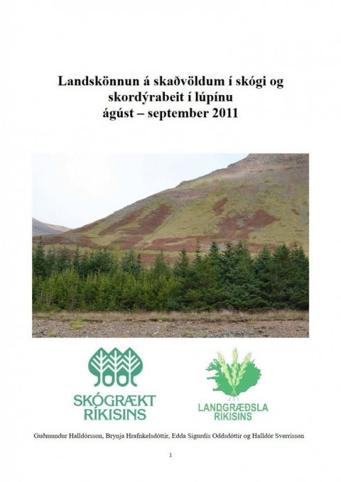 Forsíða bæklingsins