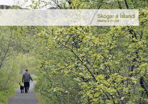 Forsíða bæklingsins