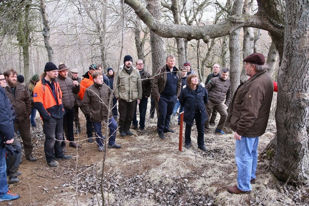Úr skógargöngu í tengslum við starfsmannafund Skógræktarinnar 2016. Ljósmynd: Pétur Halldórsson