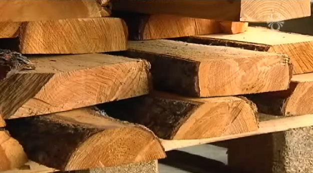 Afurðir íslenskra skóga